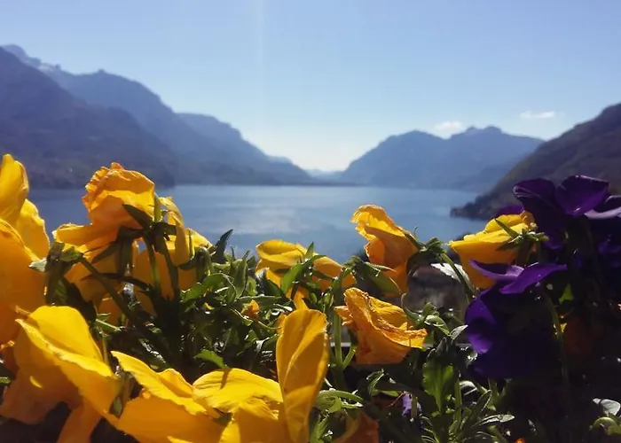 Hotel apartamentowy Antico Pozzo 3*